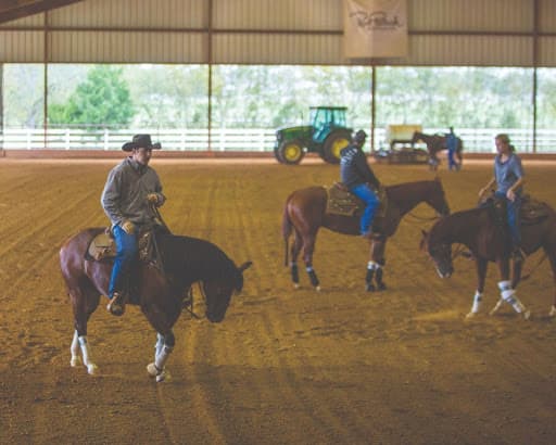 john deere equine