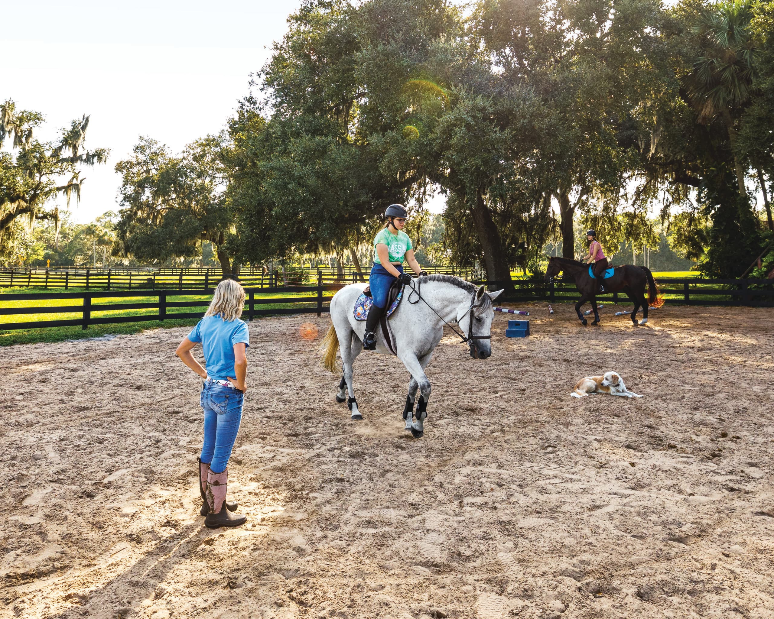 Equine Association Equine Association